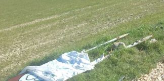 Furti nella aree rurali, Coldiretti Potenza: «Situazione insostenibile»
