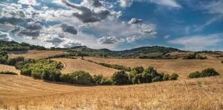 Agrisolare, Coldiretti Basilicata: «Nuovi fondi fondamentali per crescita agroalimentare»