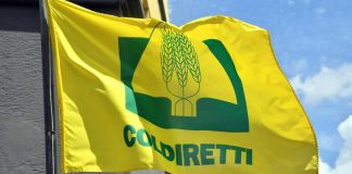 Coldiretti Basilicata: «Dalle nostre battaglie una spinta Ue su origine obbligatoria e revisione del codice doganale»