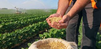 Agroalimentare, Coldiretti Basilicata: «Nuova legge sui reati corona una lunga battaglia»