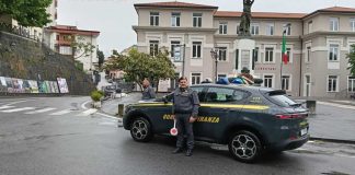 Droga nei veicoli, i cani della guardia di finanza fiutano marijuana e hashish: cinque segnalati