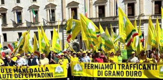 Potenza, Coldiretti Basilicata scende in piazza contro i trafficanti di olio e grano