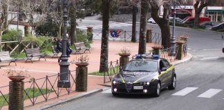 Cocaina, marijuana e hashish: 15 persone segnalate nel Potentino grazie all’unità cinofila