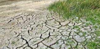 Basilicata, caldo e prezzi in calo: Coldiretti chiede un piano per l’ortofrutta