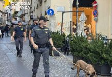 Controlli antidroga a Potenza, sequestri di stupefacenti e 4 persone segnalate