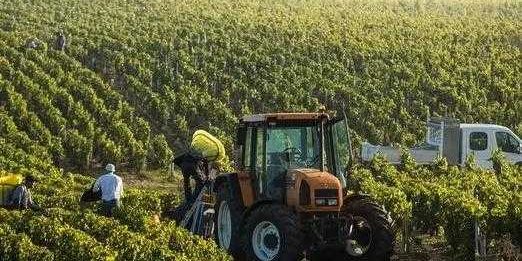 Fertilizzanti, Coldiretti Basilicata: «Sostegno straordinario per le colture escluse dagli aiuti nazionali»